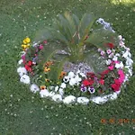 Dub *